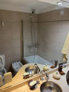 y baño con lavabo, ducha y aseo. en Hermoso Apartamento en Caballito a 200mts del metro en Buenos Aires