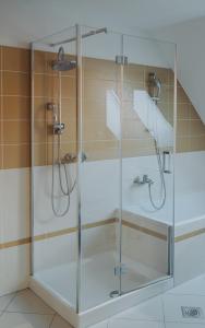 a shower with a glass door in a bathroom at Apartments Možinetova hiša in Šentjošt nad Horjulom