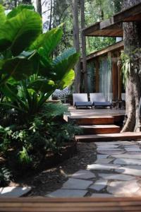 a patio with chairs and plants in a forest at La Casita- imawi in Belén de Escobar