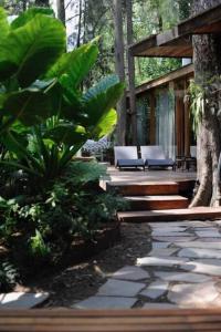 un patio con sillas y plantas en un bosque en La Casita- imawi en Belén de Escobar
