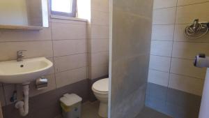 a bathroom with a sink and a toilet at DESPOINA-Triopetra in Triopetra