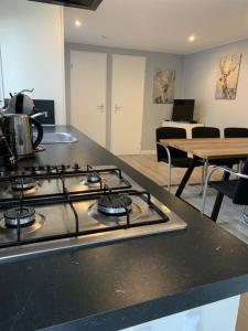 een keuken met een kookplaat in de kamer bij Het Berkenhuisje in Putten, huisje op de Veluwe in Putten