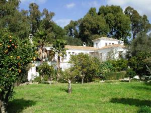 a large white house with an orange garden at Finca San Ambrosio - Apartments in grüner Oase mit Terrasse, Pool, Heizung, WiFi in Vejer de la Frontera