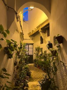 une entrée à un bâtiment avec beaucoup de plantes dans l'établissement Dar Tetuania, à Tetouan