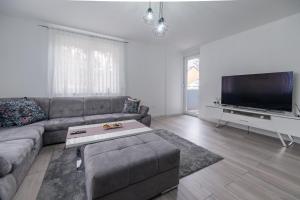 een woonkamer met een bank en een flatscreen-tv bij Apartment Aida in Sarajevo