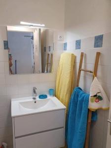 uma casa de banho com um lavatório e um espelho em appartement KER-EOL Sainte-Anne avec piscine em Sainte-Anne