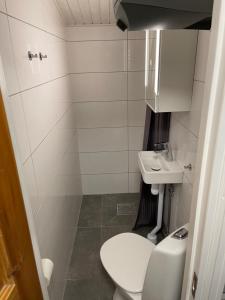 un piccolo bagno con servizi igienici e lavandino di Kvarnsjöns Naturcamping a Sjötofta