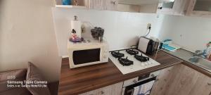 A kitchen or kitchenette at Apartments Jadra Omiš