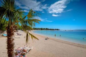 a beach with a palm tree and people in the water at Apartments Jadra Omiš in Omiš
