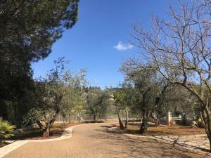 een onverharde weg met bomen en een blauwe lucht bij A Casa di Kri in Selva di Fasano