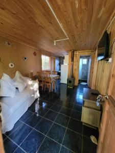 Μια τηλεόραση ή/και κέντρο ψυχαγωγίας στο Cabañas Aguas Claras