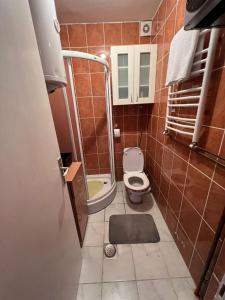 a small bathroom with a toilet and a shower at Vuk in Zlatibor