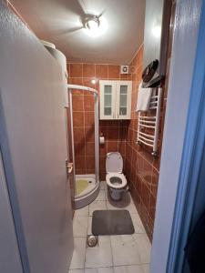 a small bathroom with a toilet and a shower at Vuk in Zlatibor