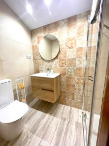 La salle de bains est pourvue de toilettes, d'un lavabo et d'une douche. dans l'établissement Apartamentos Bajo Peña Apartamentos Sanlorien, à El Pueyo de Araguás