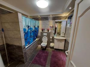 Gallery image of Apartmani Jenić in Veliko Gradište