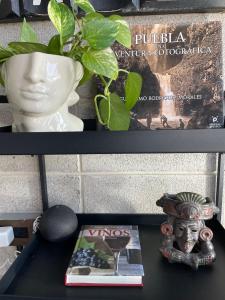 喬盧拉的住宿－Loft industrial vista a los volcanes，一张桌子,上面有花瓶,一本书和一株植物