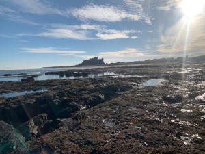 a view of the beach with a castle in the background at Brada View Bamburgh in Bamburgh