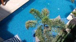 an overhead view of a palm tree in a swimming pool at Hotel Blue Concept in Cartagena de Indias