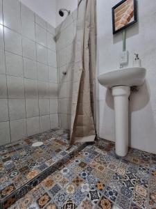 uma casa de banho com um lavatório e um chuveiro com um WC. em Casa Hostal La Esperanza de Don Alfonso em León