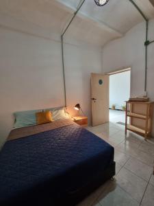 um quarto com uma cama com um edredão azul em Casa Hostal La Esperanza de Don Alfonso em León