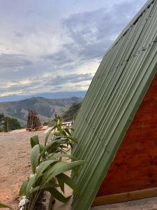 a roof of a house with a plant next to it at Entre Verdes Hotel & Glamping in Medellín