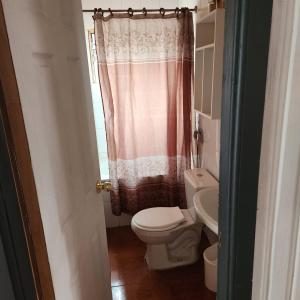 een badkamer met een toilet en een douchegordijn bij Cabañas Aldea Patuca in Pelluhue
