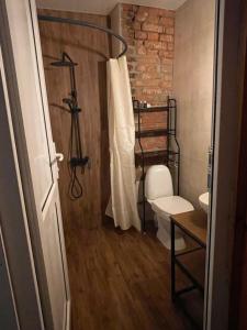 a bathroom with a shower curtain and a toilet at kushki's home in Tbilisi City