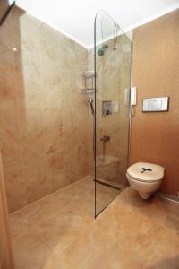 a bathroom with a shower and a toilet at King Hotel Cankaya in Ankara
