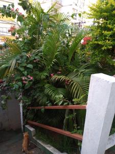 un banco en un jardín con plantas y flores en Suíte próxima ao Porto da Barra, en Salvador