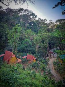 eine Gruppe kleiner Häuser in einem Wald in der Unterkunft ECO Cabin - TANOA Minca in Minca