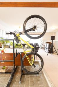 Radfahren an der Unterkunft Sakurajima Seaside Hotel oder in der Nähe
