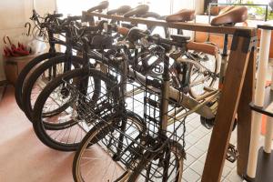 Radfahren an der Unterkunft Sakurajima Seaside Hotel oder in der Nähe