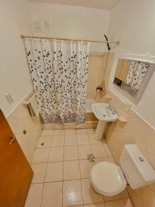 W łazience znajduje się toaleta, umywalka i prysznic. w obiekcie Departamento Monte Olivia w mieście Ushuaia