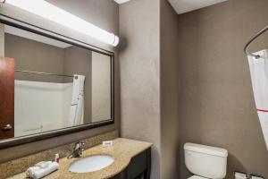 a bathroom with a sink and a toilet and a mirror at Red Roof Inn & Suites Bloomsburg - Mifflinville in Mifflinville +26 photos