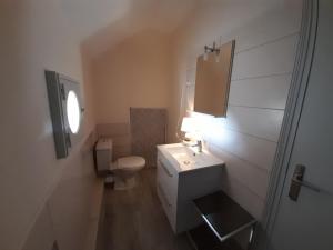 a bathroom with a toilet and a sink and a mirror at Studio La Roche-Posay, 1 pièce, 2 personnes - FR-1-541-56 in La Roche-Posay