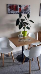 a table with a potted plant and two white chairs at Отель Транзит in Pervomayskīy