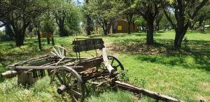 an old wooden cart in a field with trees at El Trébol Casa de Campo in Naicó