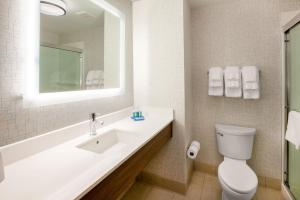 a bathroom with a sink and a toilet and a mirror at Holiday Inn Express Hotel & Suites Austin SW - Sunset Valley, an IHG Hotel in Austin