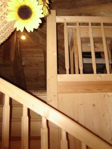 Fotografie z fotogalerie ubytování Residenza Domino v destinaci Selva di Cadore