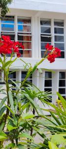 um grupo de flores vermelhas em frente a um edifício em Subhas Tourist Hotel em Jaffna