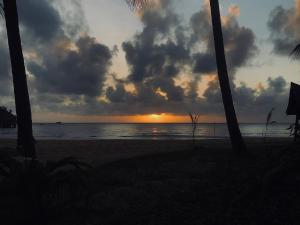 a sunset on a beach with palm trees and the ocean at Tiongman Scubadive & Lodge in Tioman Island