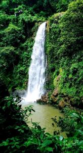 una cascada en medio de un bosque en CABAÑAS CEYTAKS, 