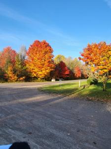 an empty road with autumn trees in the background at East Pond View Campsite in Clinton