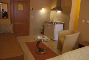 Kuchyň nebo kuchyňský kout v ubytování Hotel Portal