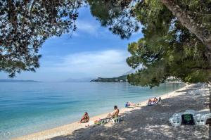 eine Gruppe von Menschen, die am Strand sitzen in der Unterkunft Apartments Ban in Tučepi