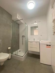 Kúpeľňa v ubytovaní SleepWell Apartments + 32 fotografií
