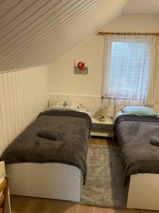 two beds in a bedroom with a window at Holiday Homes Eliza in Druskininkai