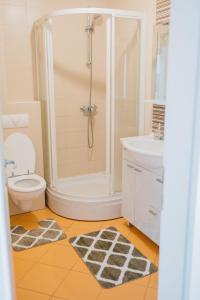 een badkamer met een douche, een toilet en een wastafel bij Apartman PETRA in Trogir
