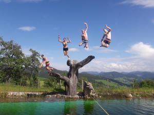a group of people jumping off a tree into a body of water at Bioferienhof Brückler in Laussa