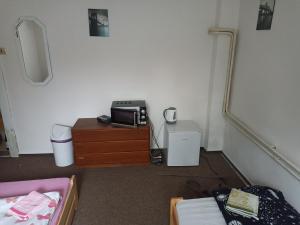 TV a/nebo společenská místnost v ubytování Štolcova room